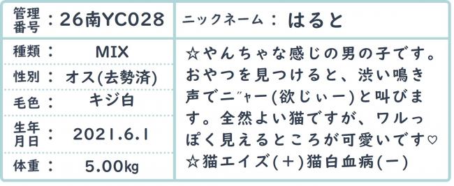 はると
