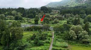雪崩防護柵（柵口地区）