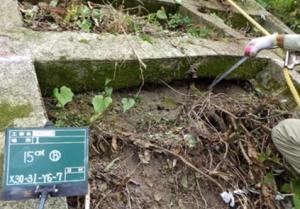 法枠の背後が空洞化した様子（宮花町1区地区）