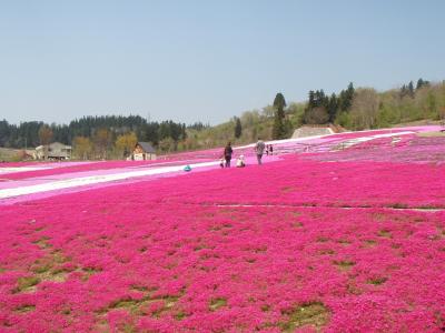 県内の都市計画公園（奥只見レクリエーション都市公園）
