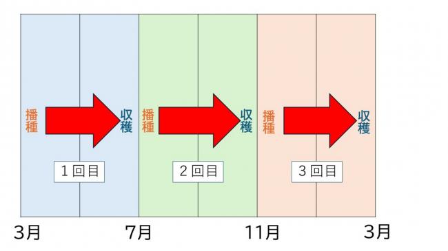 世代促進イメージ