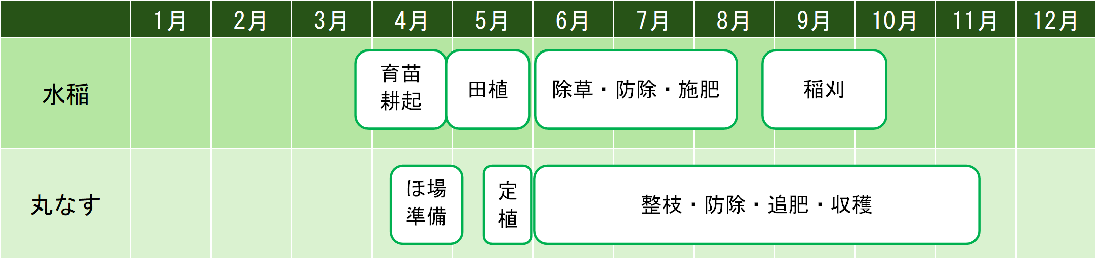 水稲+丸なすスケジュール
