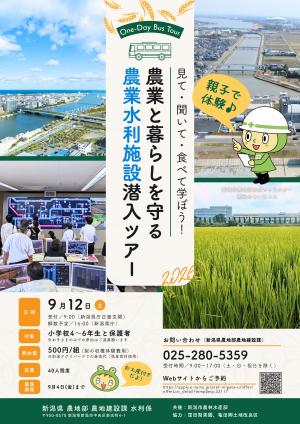 チラシ