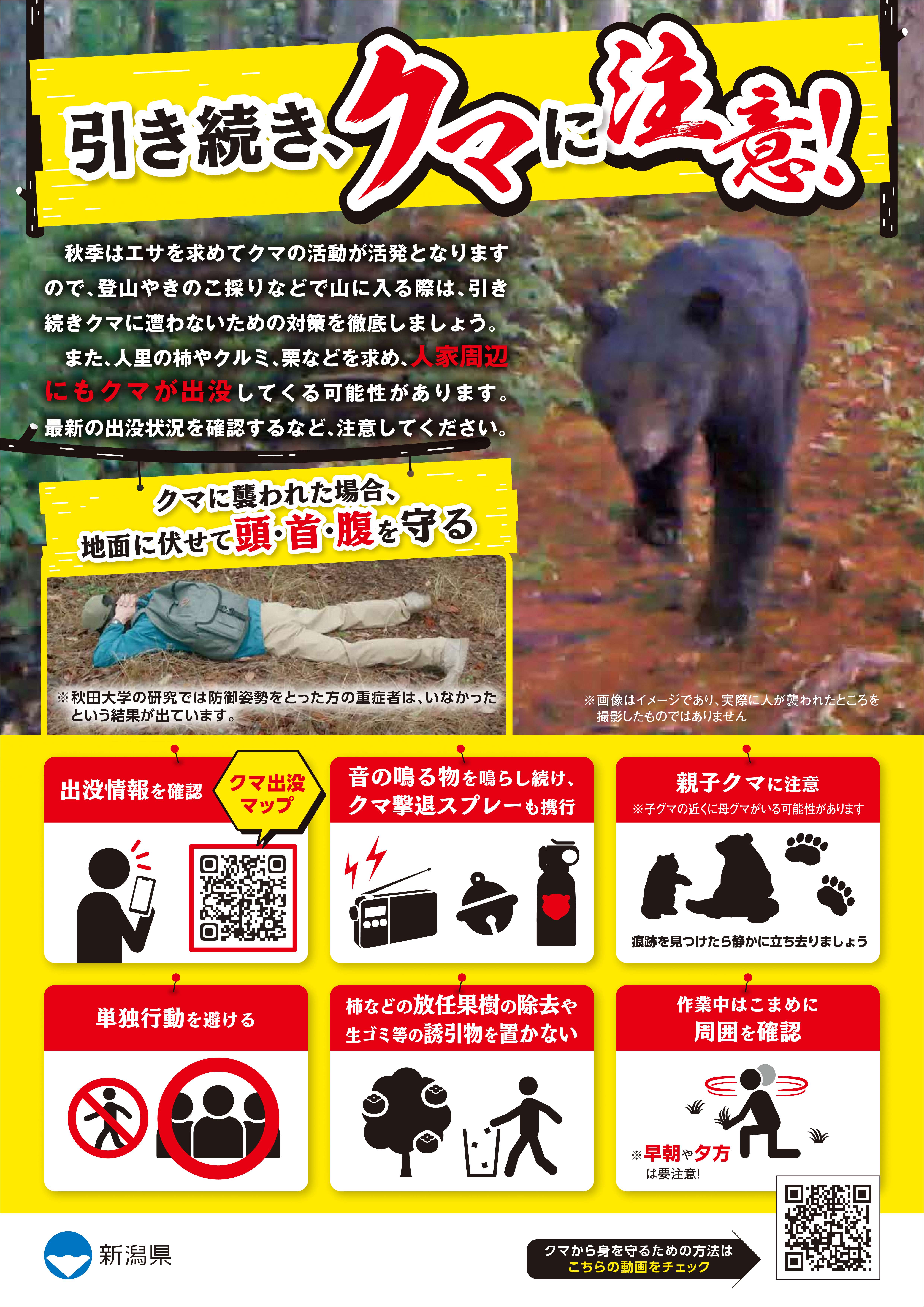 秋季のクマに対する注意喚起チラシ（A4カラー）