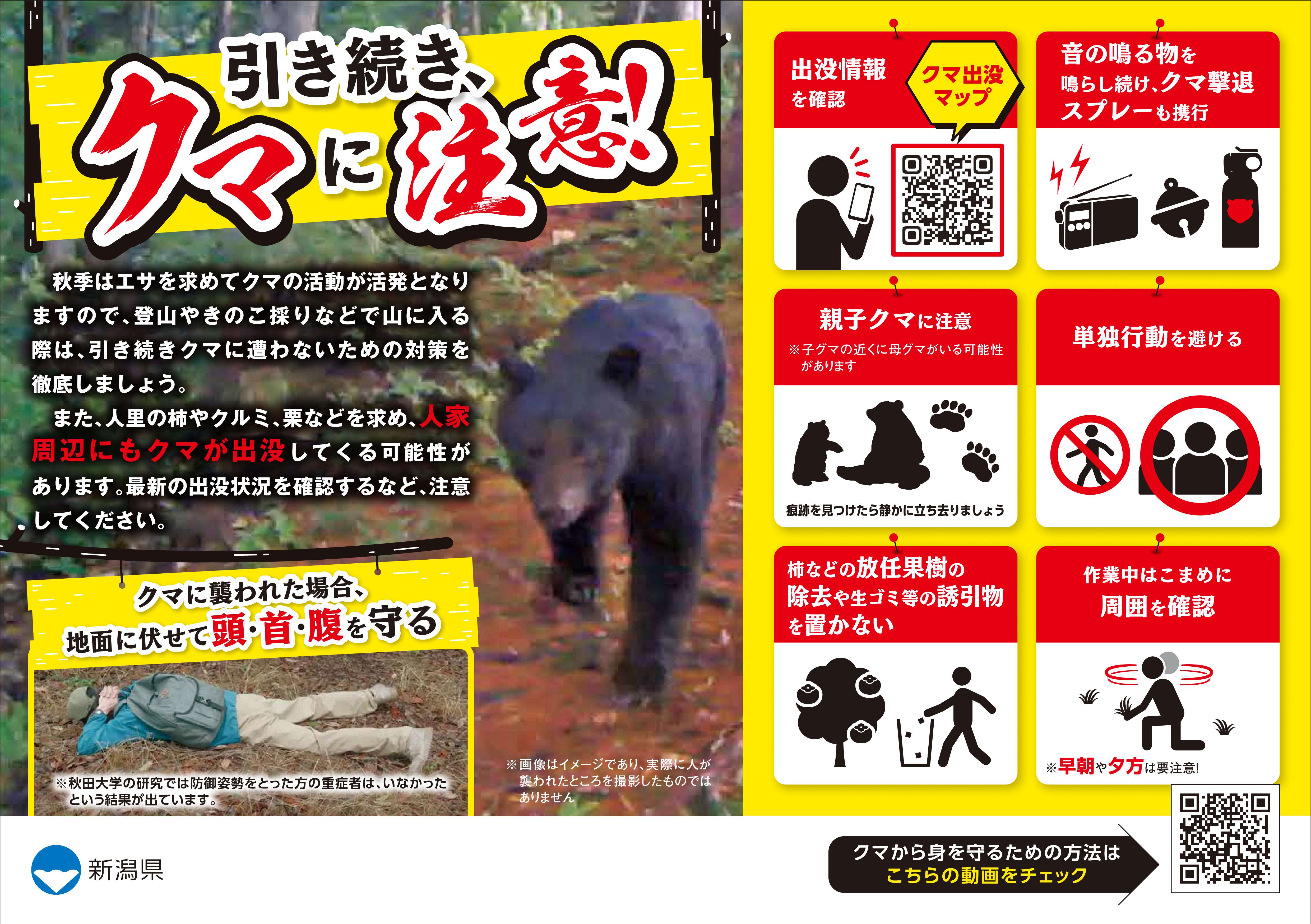 秋季のクマに対する注意喚起チラシ（A5カラー）