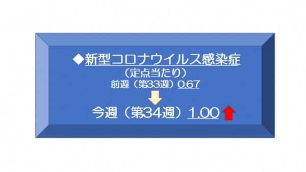 34週新型コロナウイルス感染症