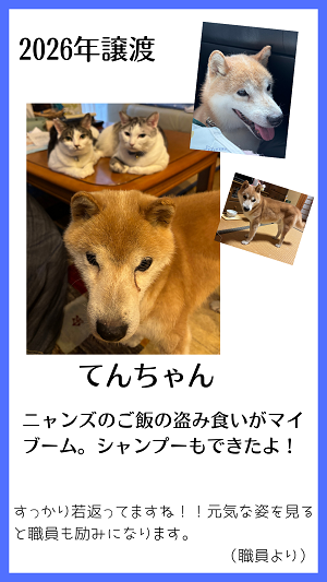 てん