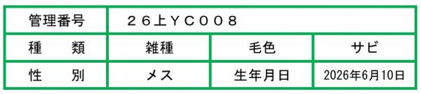 ハク