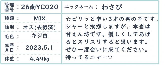 わさび
