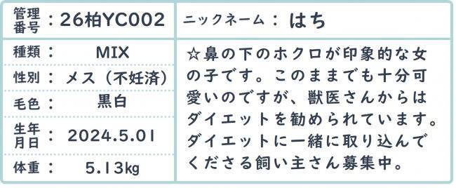 はち