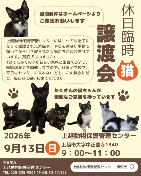 譲渡会