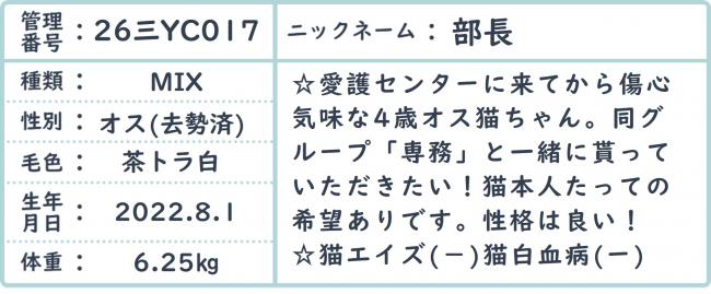 部長