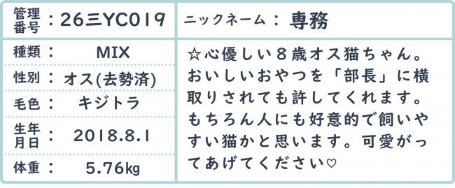 せんむ