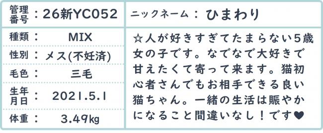 ひまわり