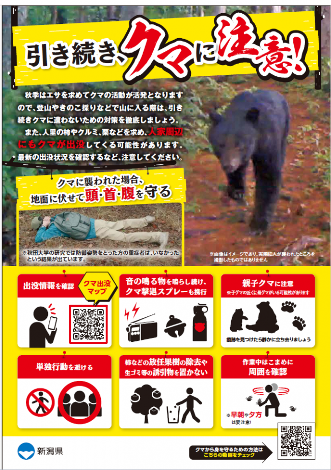 ポスター