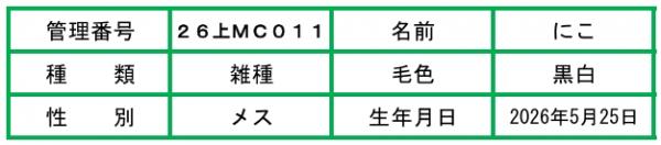 説明文-にこ