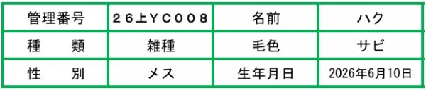 説明文-ハク
