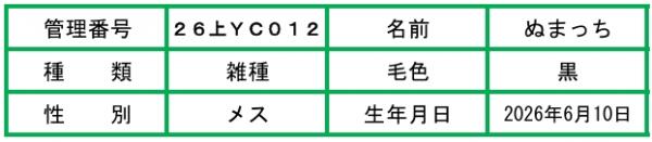 説明文-ぬまっち