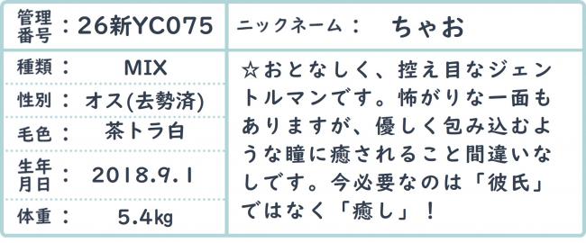 ちゃお