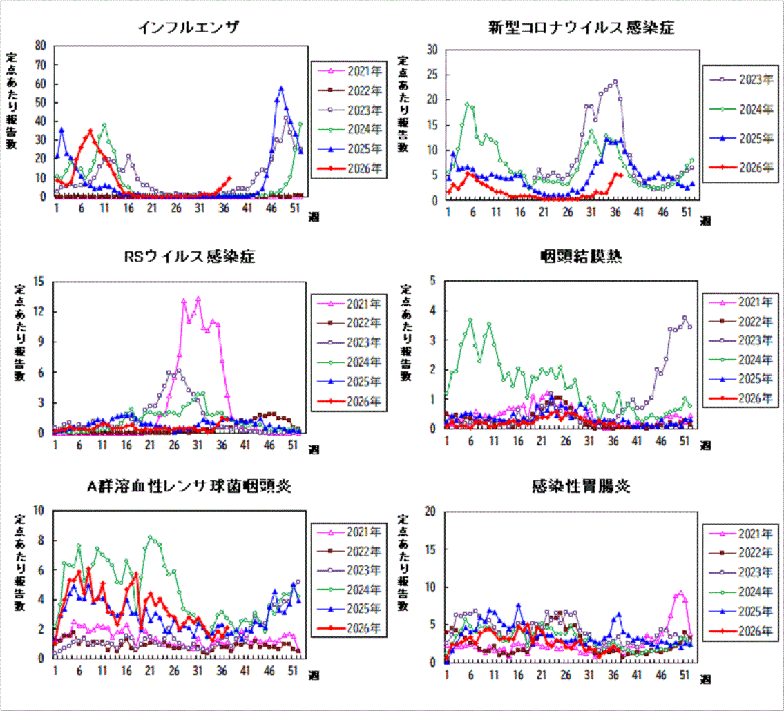 過去5年間の比較グラフ_1