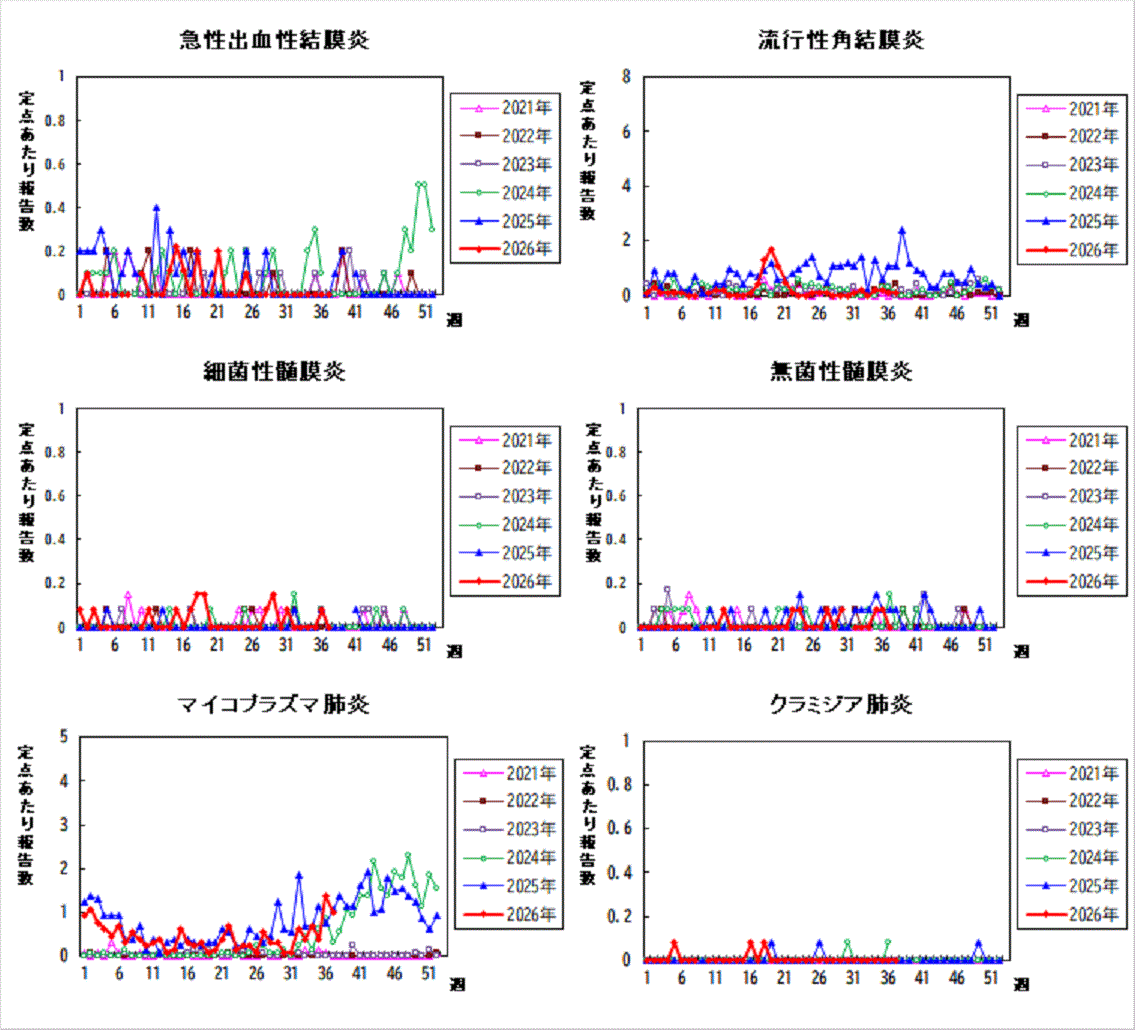 過去5年間の比較グラフ_3