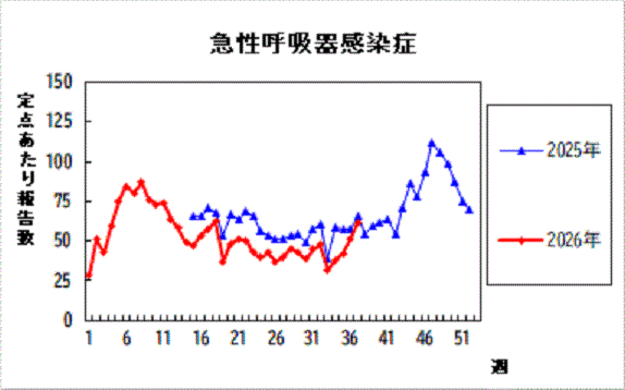 過去5年間の比較グラフ_4