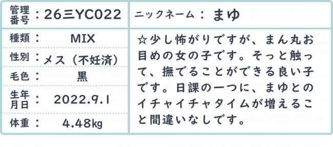 mayu3