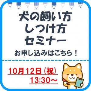 犬セミナー