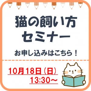 猫の飼い方
