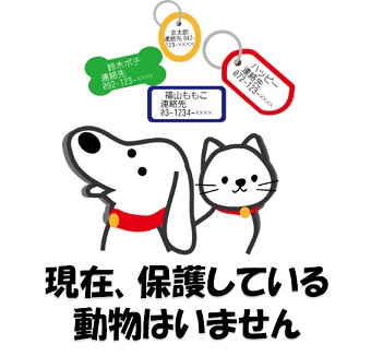 いない