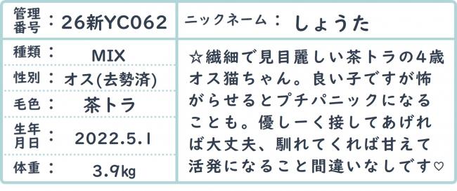 しょうた