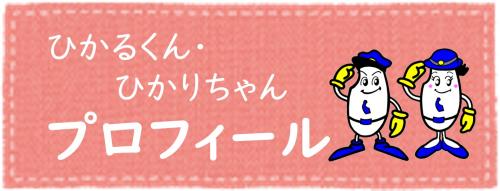 ひかるくん・ひかりちゃんプロフィール