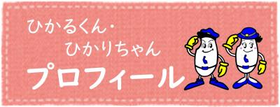 ひかるくん・ひかりちゃんプロフィール