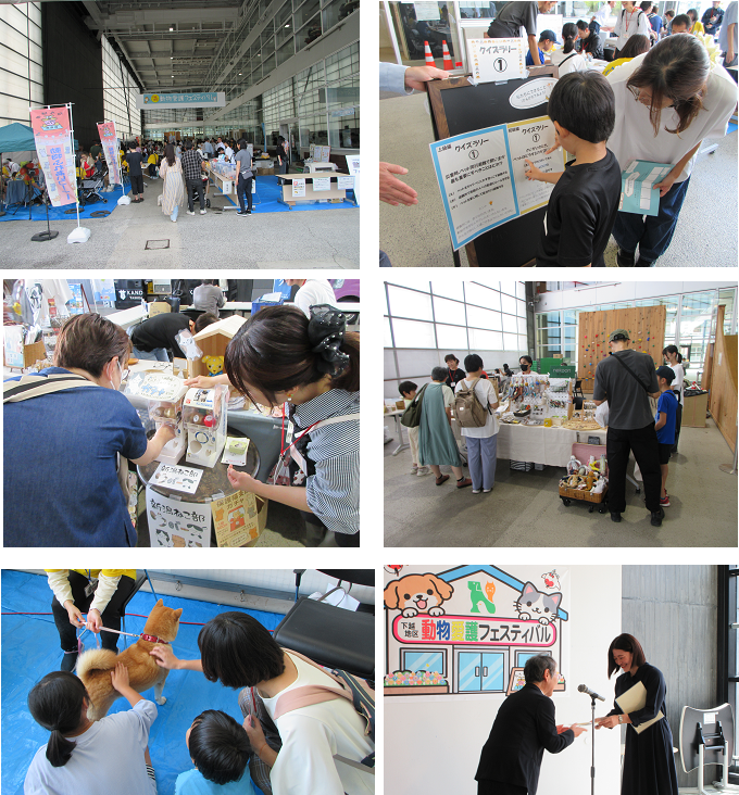 フェスティバル会場の写真