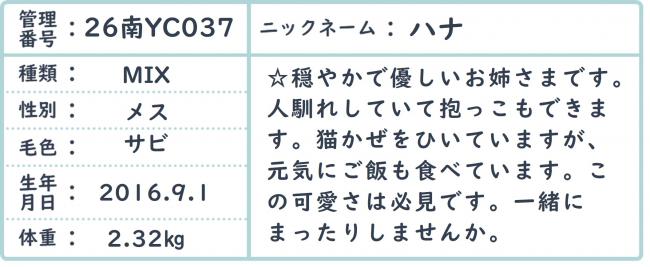 はな3