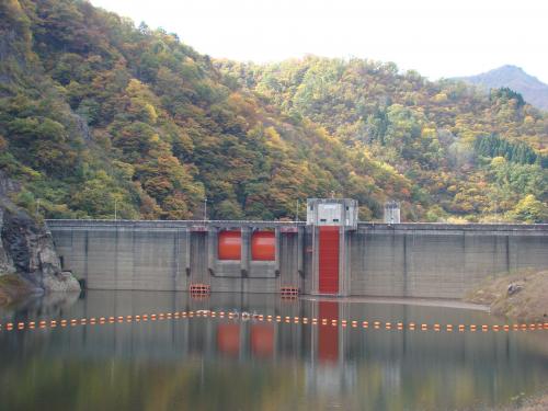 堤体と紅葉
