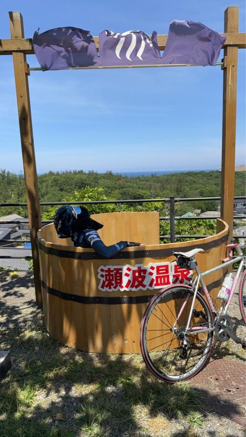ロゲイニング