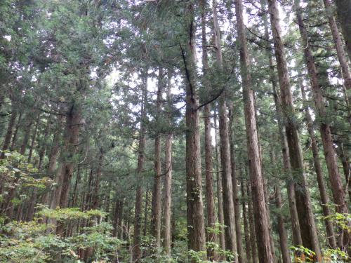 西野団地写真１