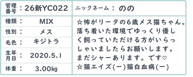 ノノ