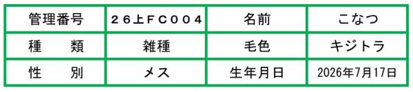 HP用説明文(26上FC004こなつ)
