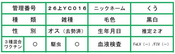 HP用説明文(26上YC016くう)-2
