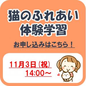 猫ふれあい