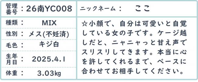 ここ3