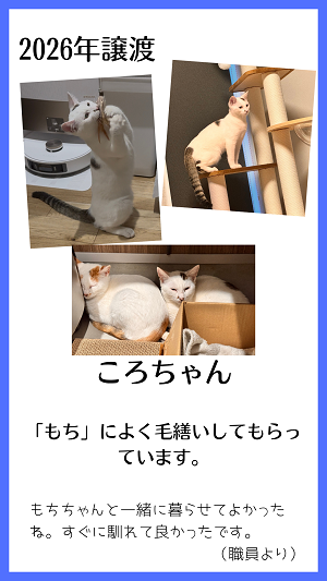 ころ