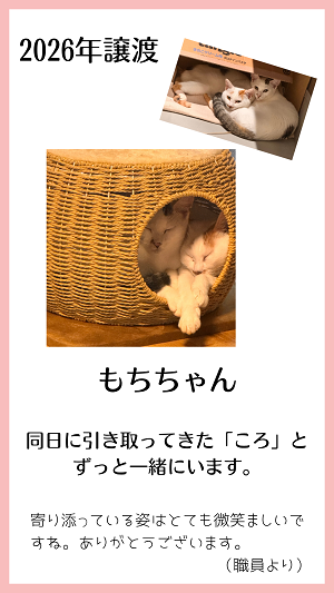 もち