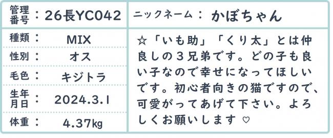 かぼ3