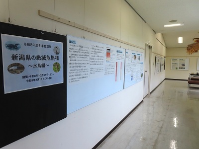 展示の様子の画像