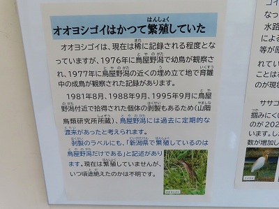 冬季特別展の画像2
