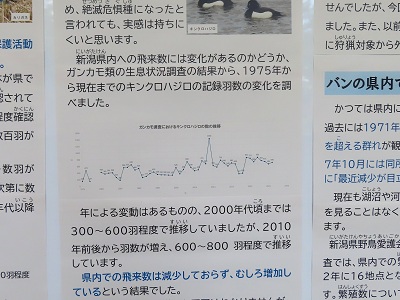 冬季特別展の画像3