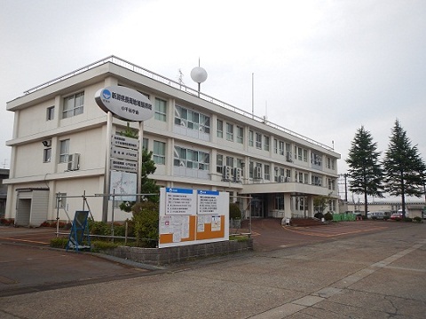 庁舎東側（正面側）　工事中の画像